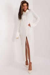 Elegant Long Sleeve Pencil Dress Badu