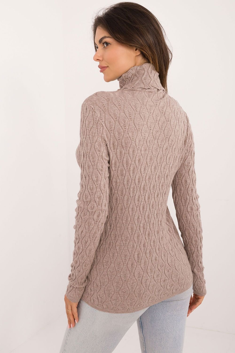 Chic Openwork Casual Turtleneck Sweater AT