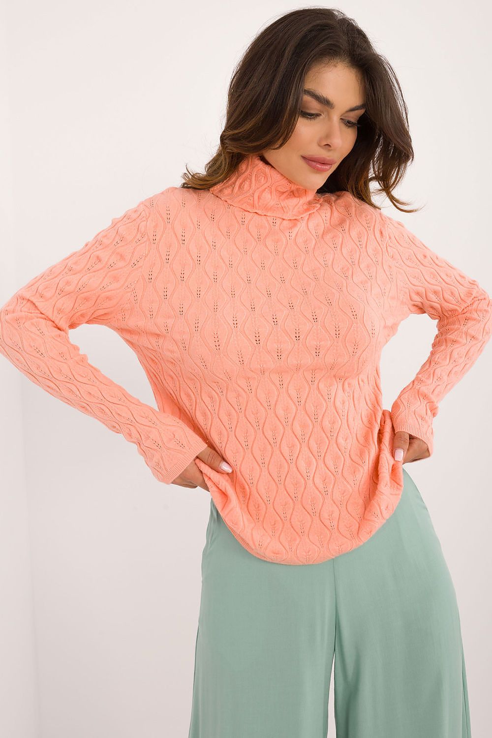 Chic Openwork Casual Turtleneck Sweater AT