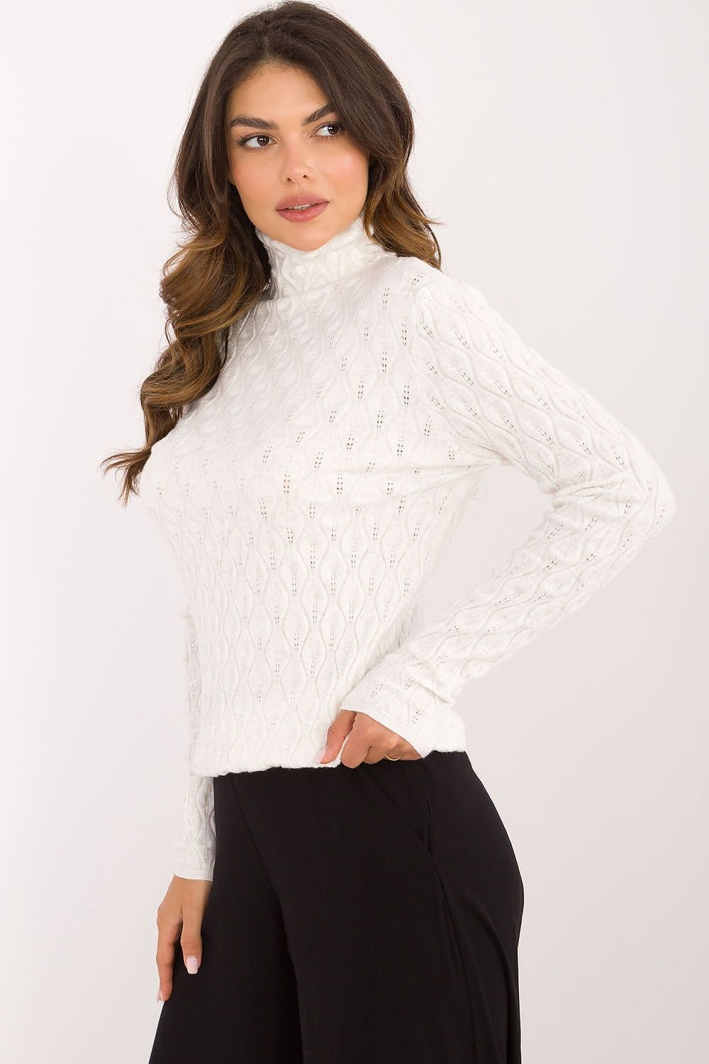 Chic Openwork Casual Turtleneck Sweater AT