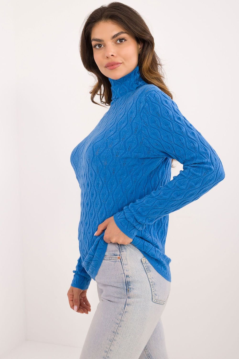 Chic Openwork Casual Turtleneck Sweater AT